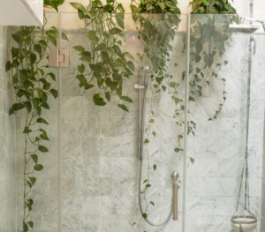 clear shower stall